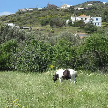 Eleni's Portokalia. *